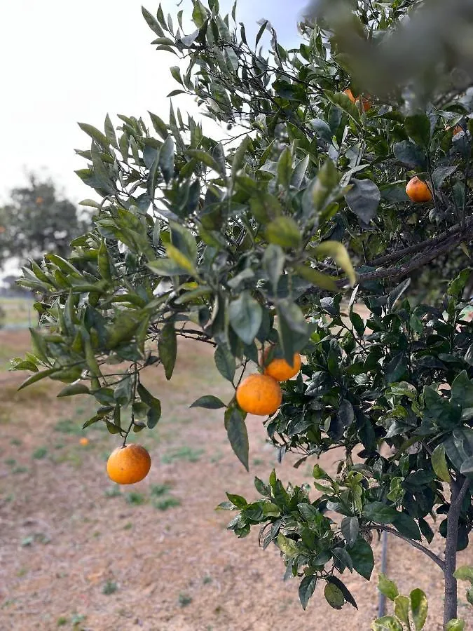 Agua De Verano San Bartolomé de la Torre