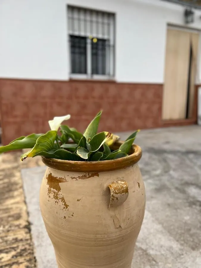 بيت للعطل Agua De Verano San Bartolomé de la Torre